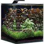 Aquarium Nano Cube Basic, transparent : L.30xP.30xH.35cm - 30 litres