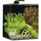 Aquarium Nano Cube Basic, transparent : L.25xP.25xH.30 cm- 20 litres