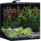 Aquarium Nano Cube Basic, transparent : L.38xP.38xH.43 cm- 60 litres