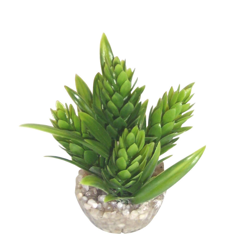 Decor d'aqurium : Plante HOP coloris assortis