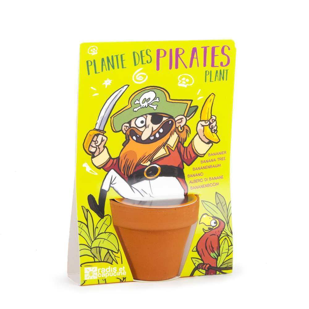 CARTE N PIRATE - BANANIER-(681321)