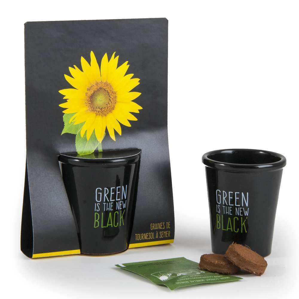 POT BLACK TOURNESOL-(681329)