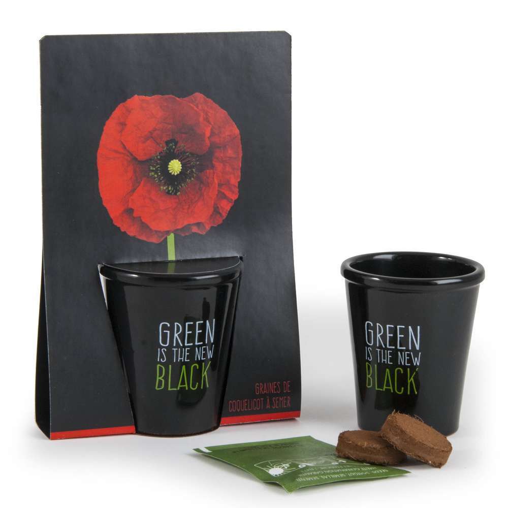 Kit de plantation black Coquelicot