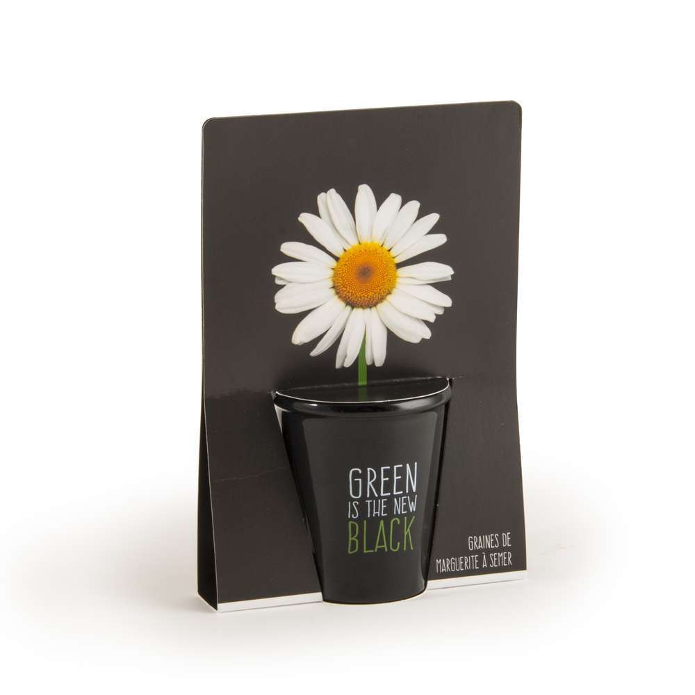 POT BLACK PAQUERETTE-(681333)