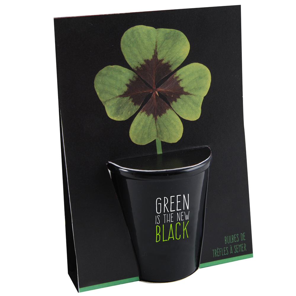 Kit de plantation black Trèfle à 4 feuilles