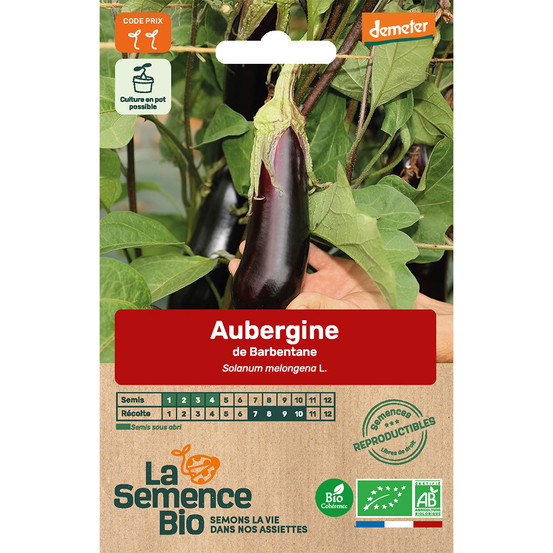 Graines potagères Aubergine de Barbentane Bio en sachet