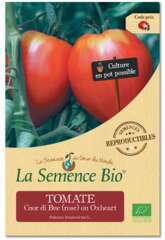 Graines Tomate Cuor di Bue Oxheart Bio