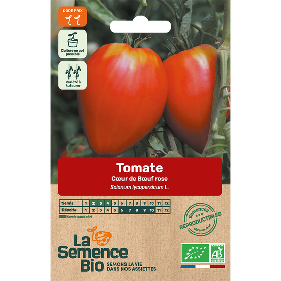 Graines de tomate Cuor di Bue Oxheart Bio en sachet