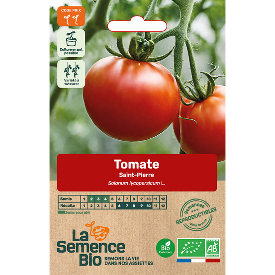 Graines de tomate Saint-Pierre Bio en sachet