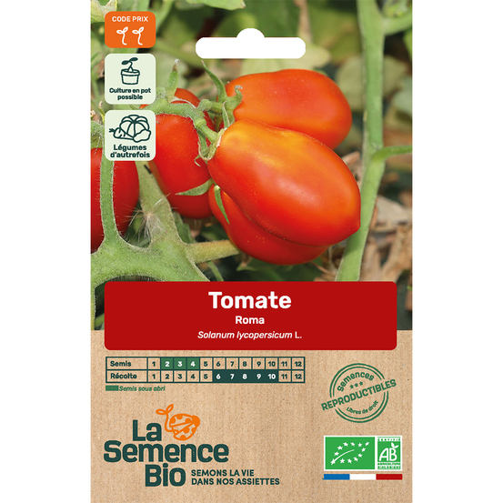 Graines de tomate Roma VF Bio en sachet