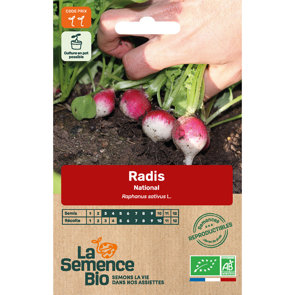 Graines potagères Radis National Bio