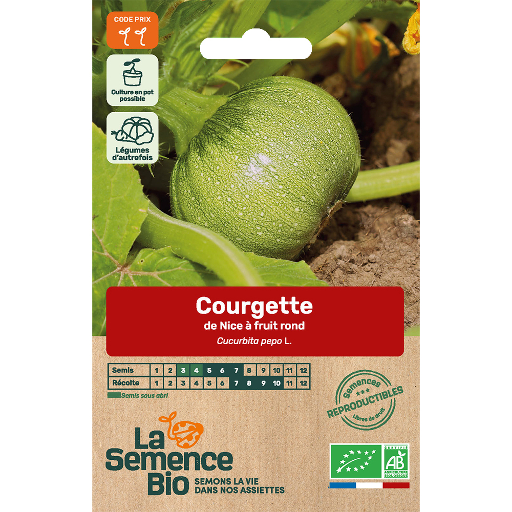 Graines potagères Courgette de Nice à Fruits Ronds Bio
