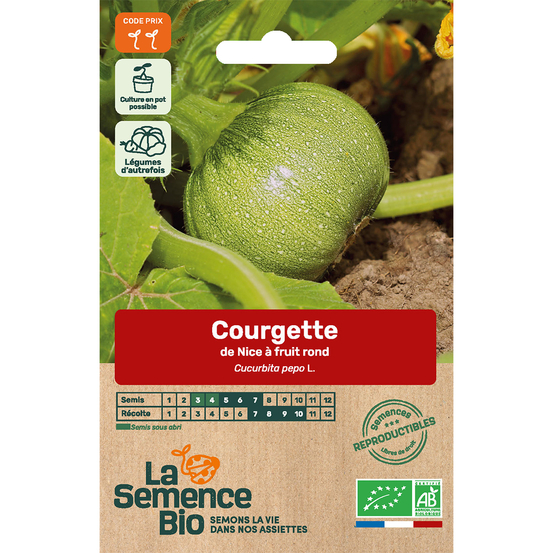 Graines potagères Courgette de Nice à Fruits Ronds Bio