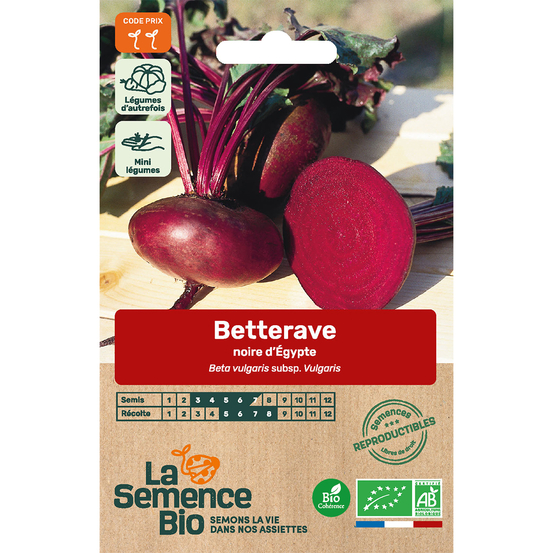Graines potagères Betterave noire plate d'Egypte Bio