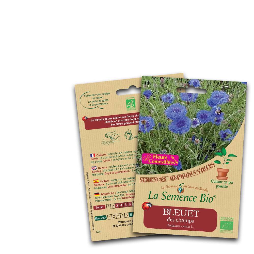 Graines de fleurs Bleuet des champs Bio