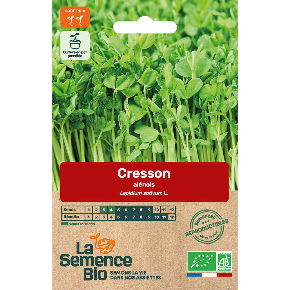 Graines potagères Cresson alénois Bio en sachet