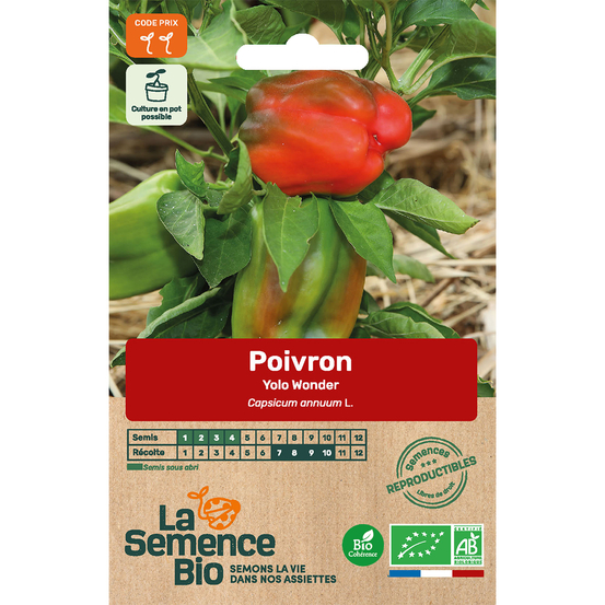 Graines potagères poivron Yolo Wonder Bio en sachet