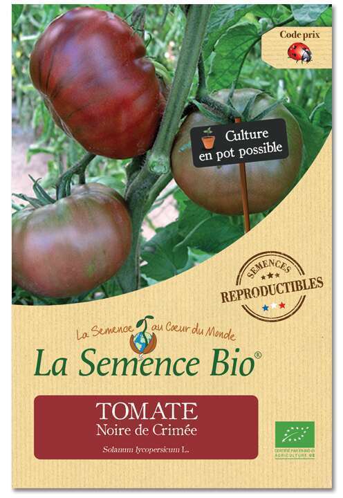 25 Graines de Tomate Noire de Crimée Méthode BIO seeds légumes ancien potager 