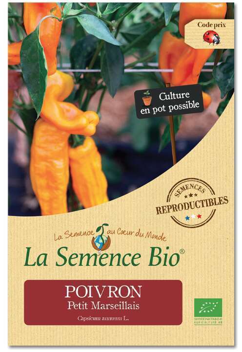 Graines potagères poivron Petit Marseillais Bio en sachet