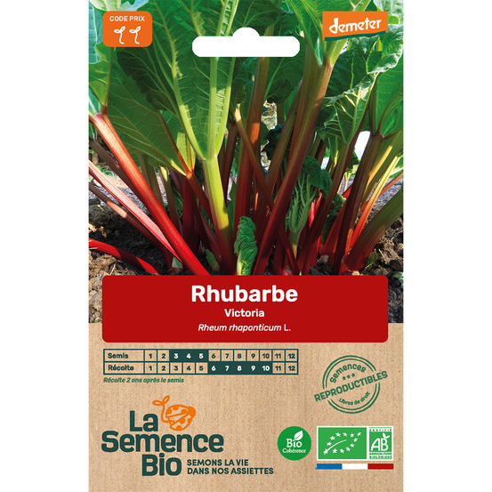 Graines potagères Rhubarbe Victoria Bio en sachet