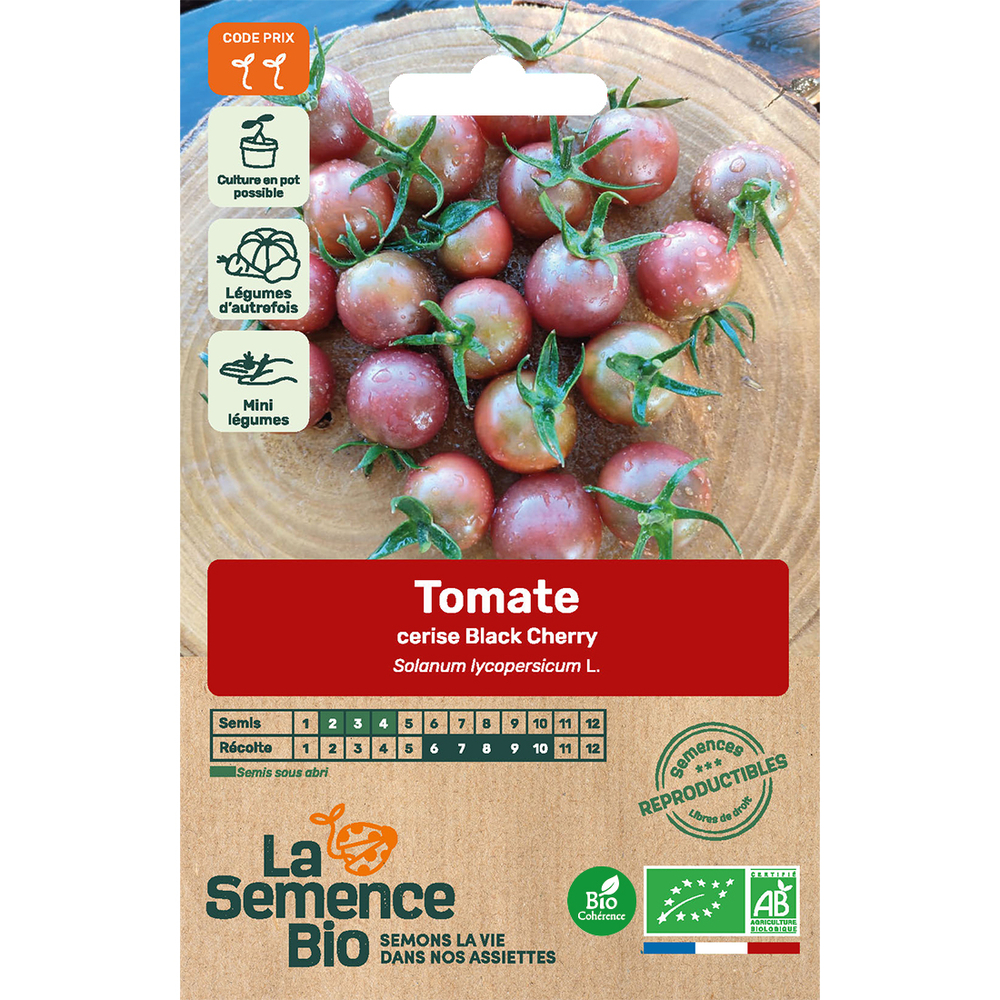 Graines de tomate Cherry Bio en sachet