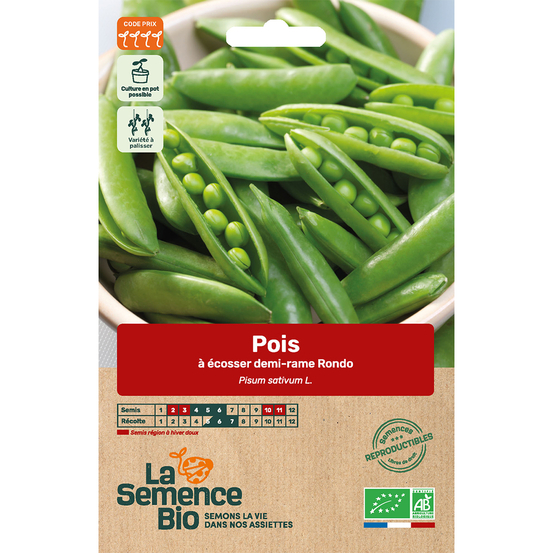 Graines potagères Pois à écosser nain Rondo Bio