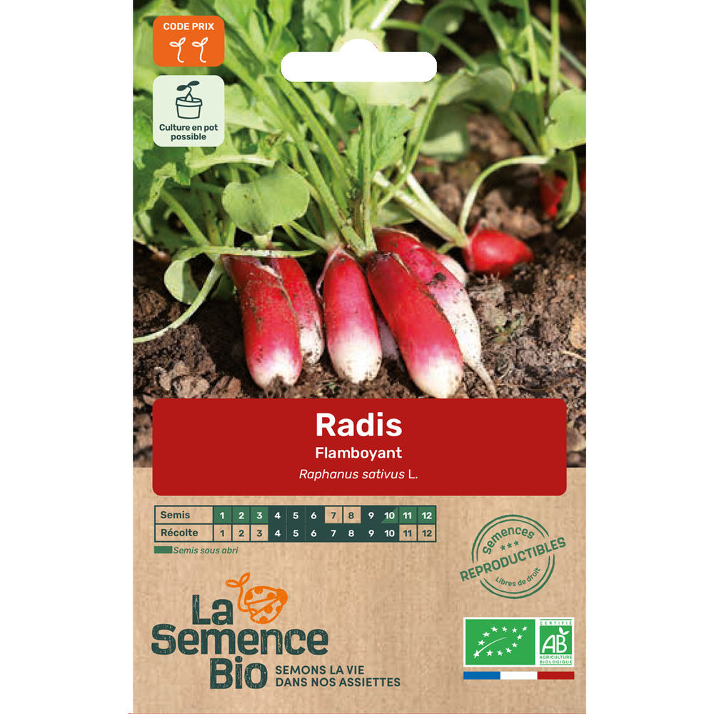 Graines potagères radis Flamboyant 2 Bio en sachet