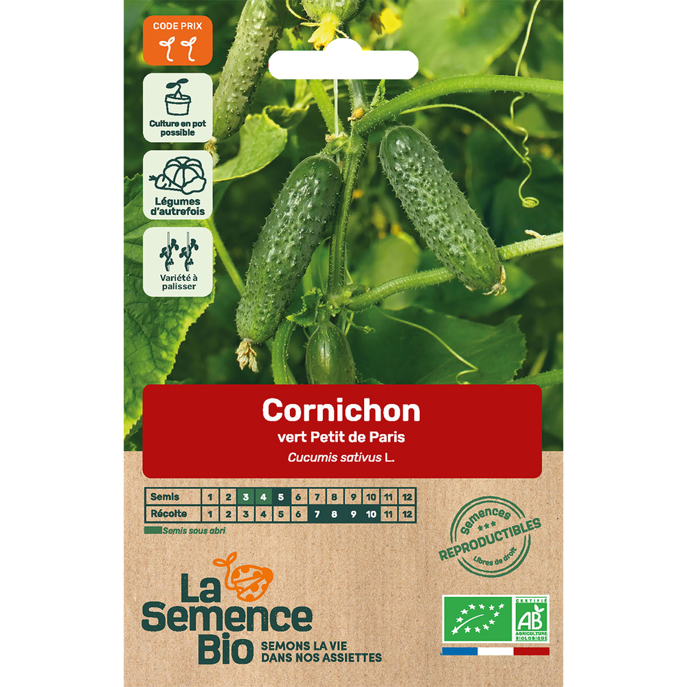 Graines potagères cornichon Vert Petit de Paris Bio en sachet