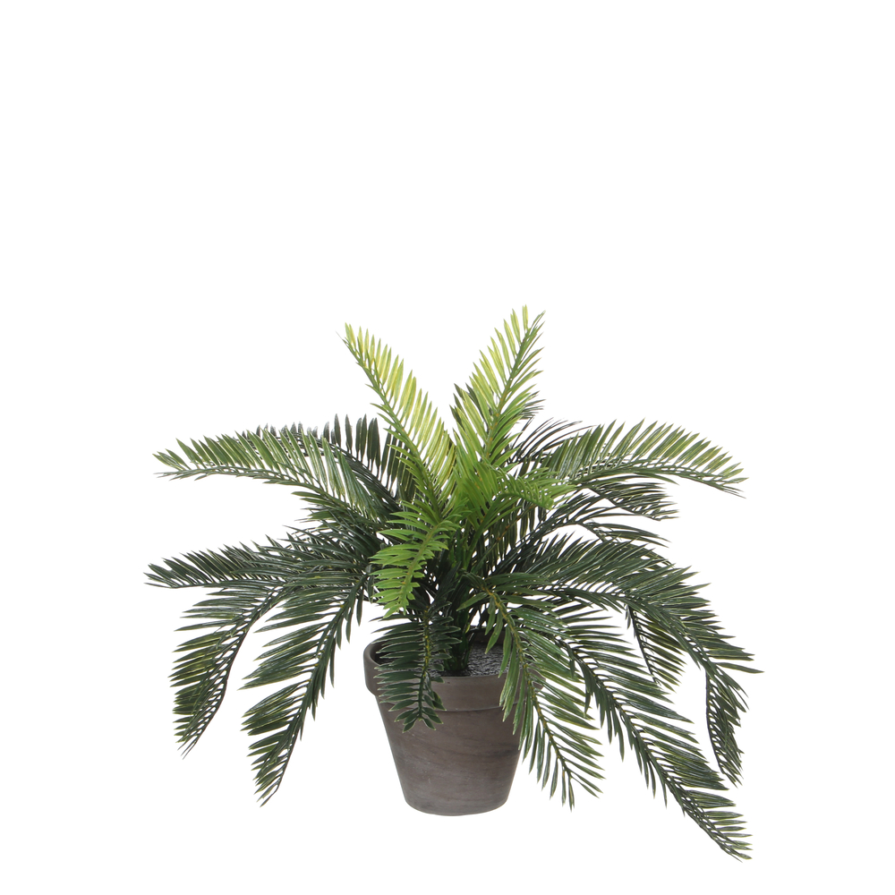 Plante artificielle : Pot cycas D.13,5 x H.37 cm
