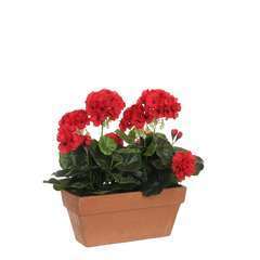 Plante artificielle : Jardinière géranium rouge 29x13x40 cm
