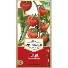 Graines de tomate gardener's delight Bio en sachet