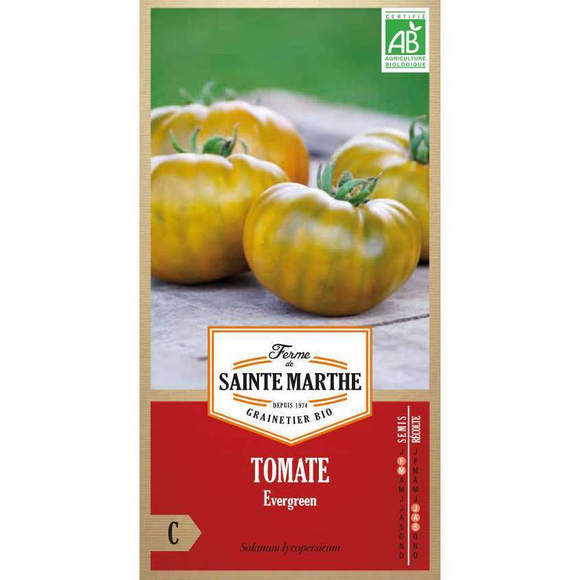 graines de tomates evergreen sachets 30 graines culture procédé bio 