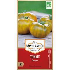 Graines de tomate evergreen Bio en sachet