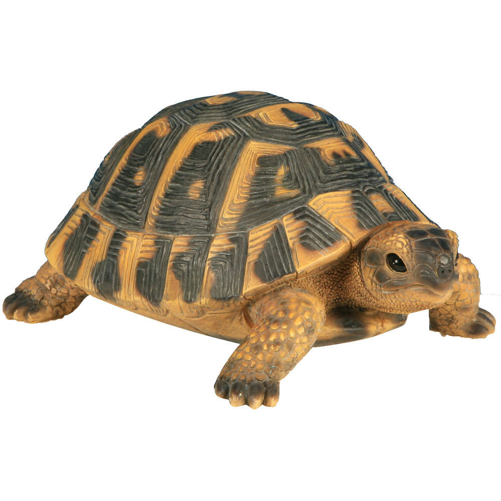 Tortue Hermann En Resine L 17 X 11 7 X H 7 7 Cm Truffaut