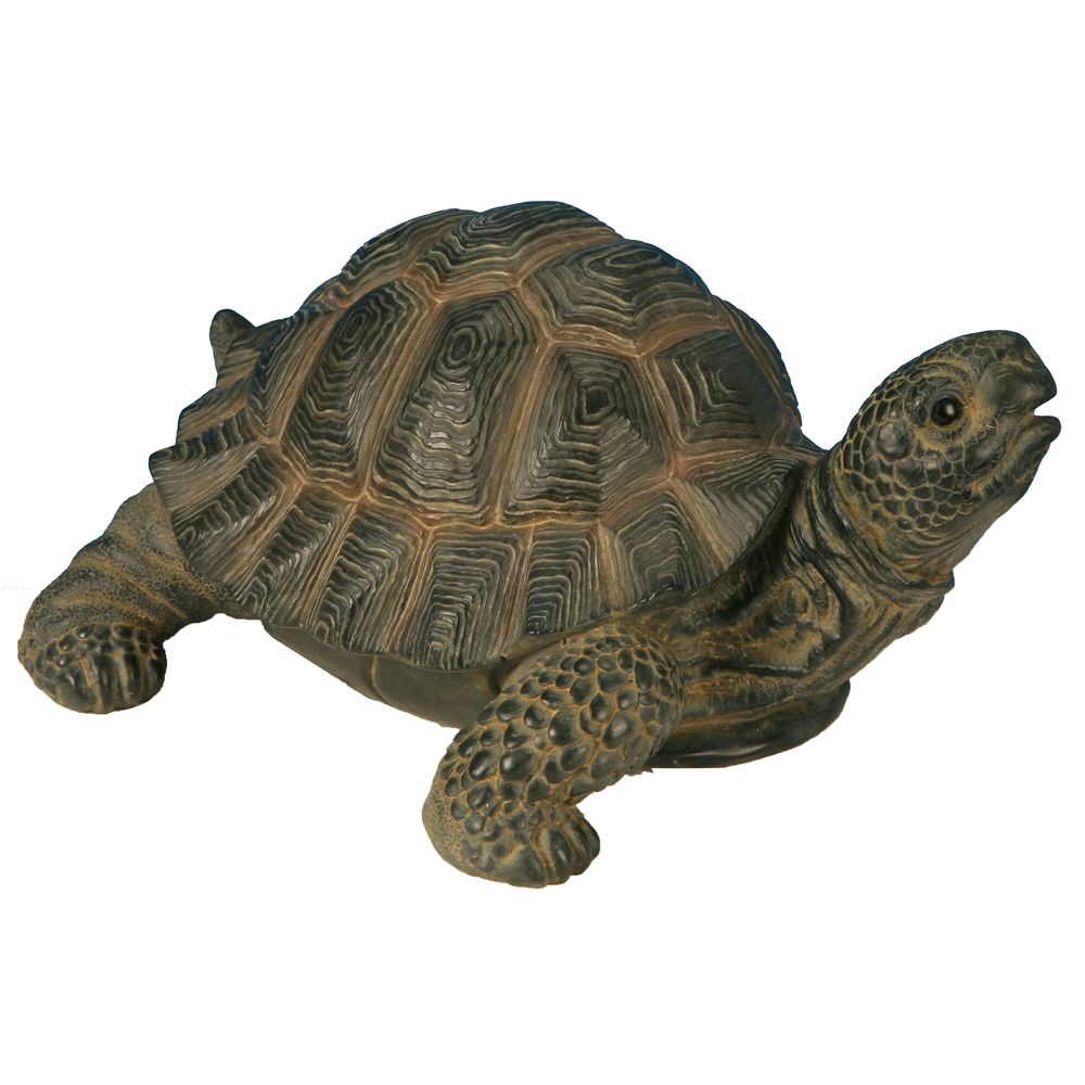 Tortue en résine marron - 23,5x17,7x11,2 cm