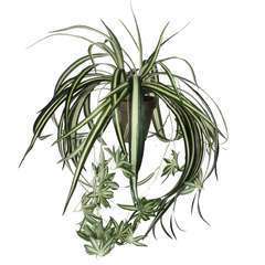 Plante artificielle : Pot chlorophytum D.45 cm