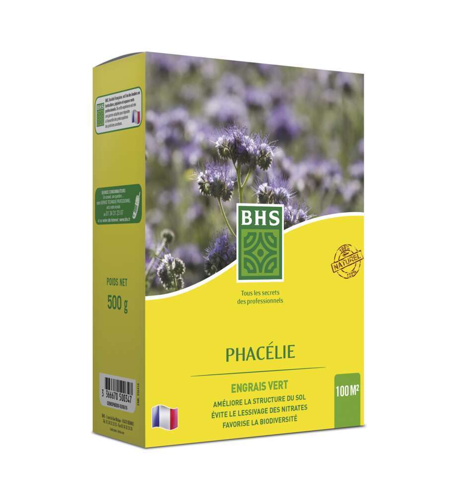 Semence D'Engrais Phacelie 500 g