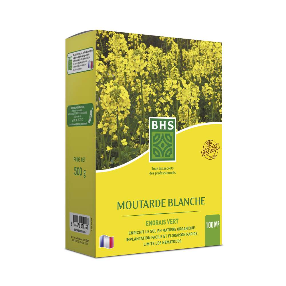 Semence D'Engrais Moutarde 500 g