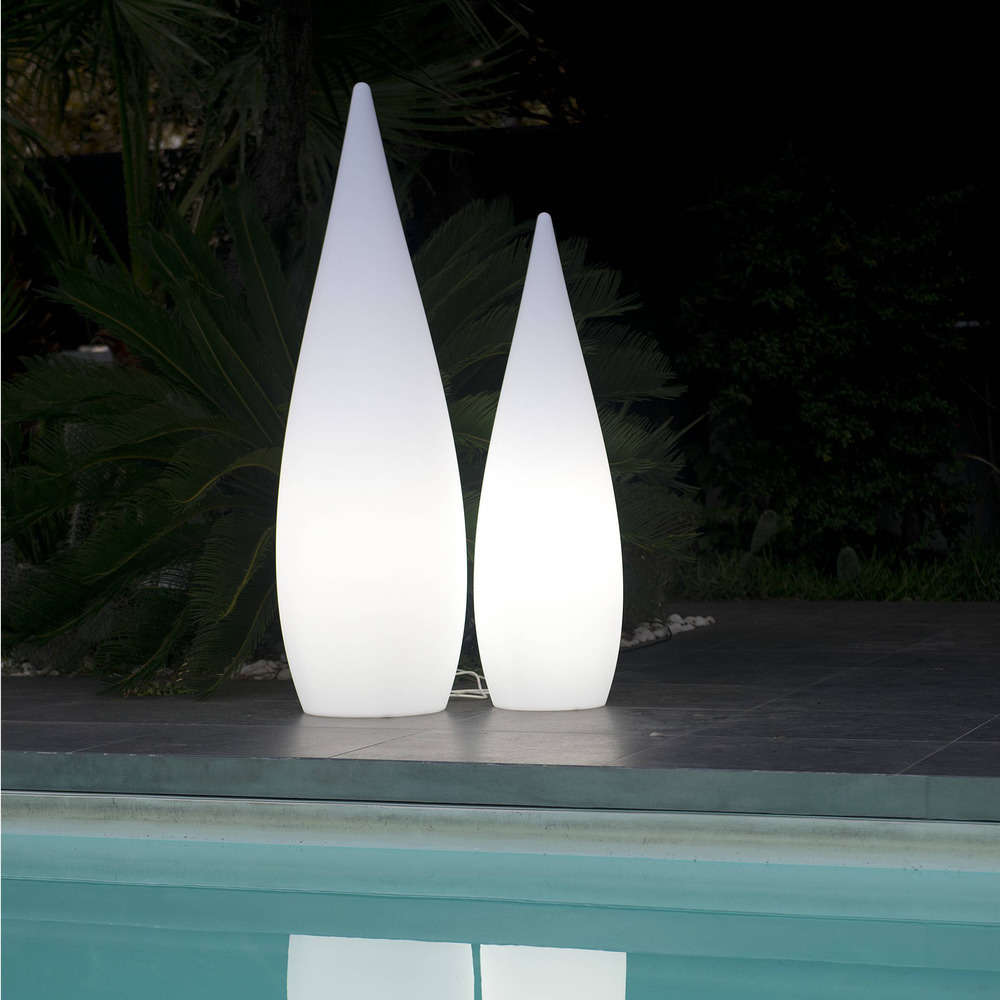 Cyprès lumineux, sur secteur H.120 cm