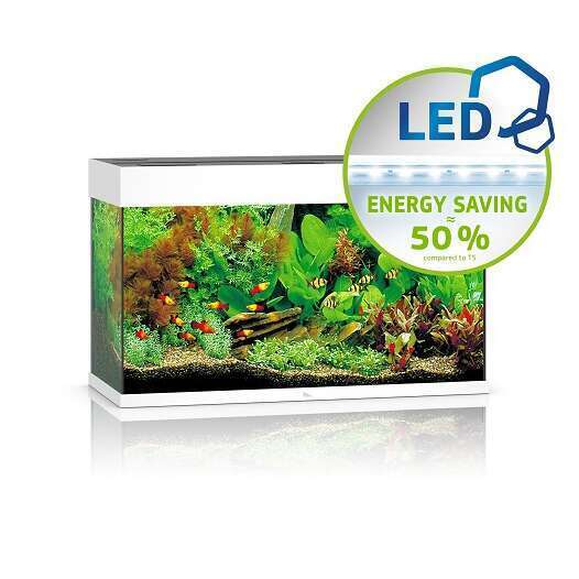 Aquarium LED Rio - 125L