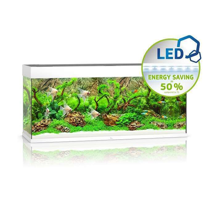 Aquarium LED Rio - 240L