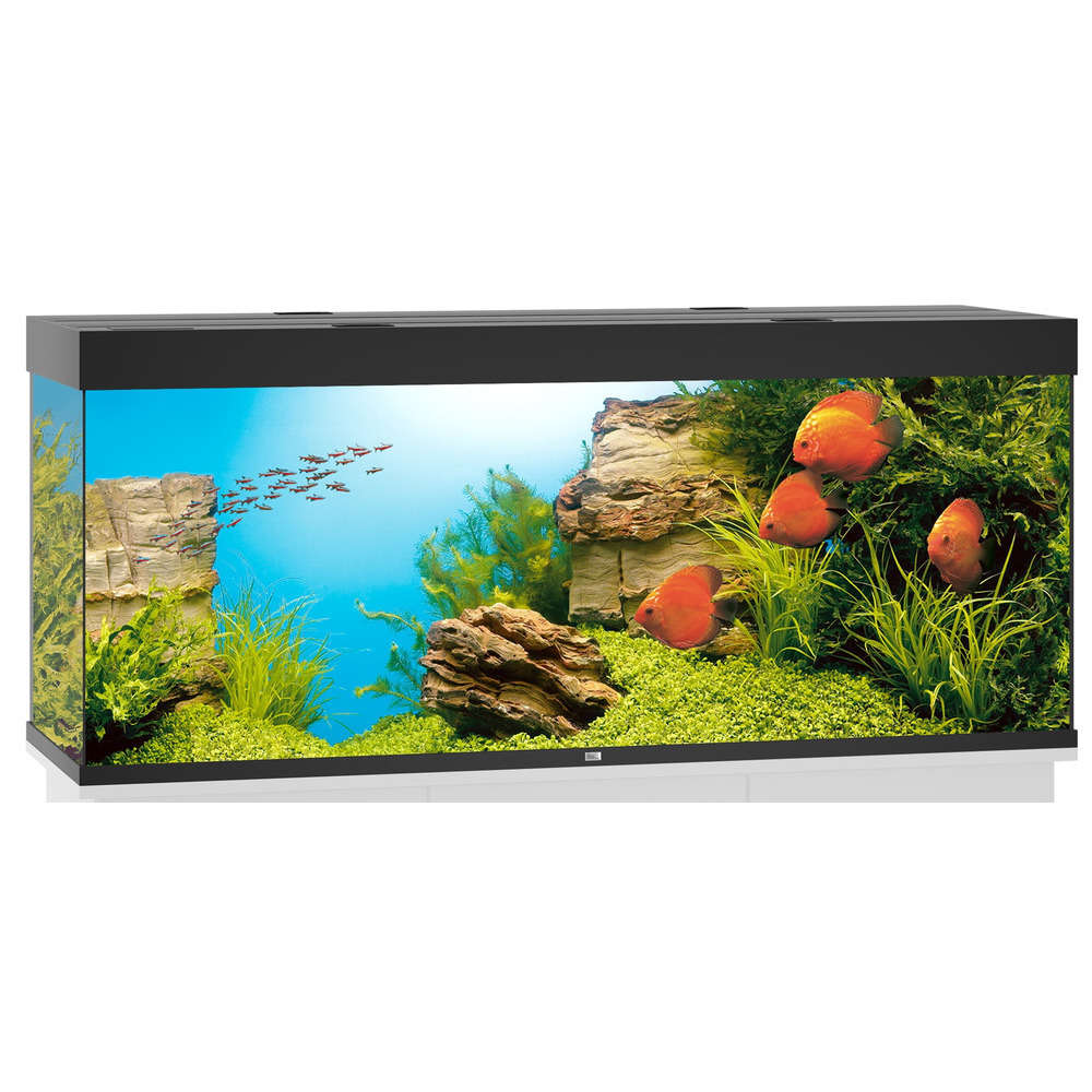 Aquarium LED Rio, noir - 450 litres