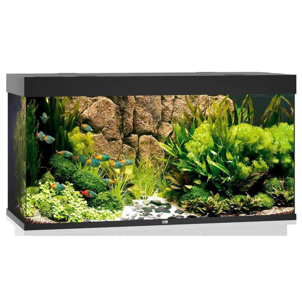 Aquarium LED Rio, noir - 350 litres