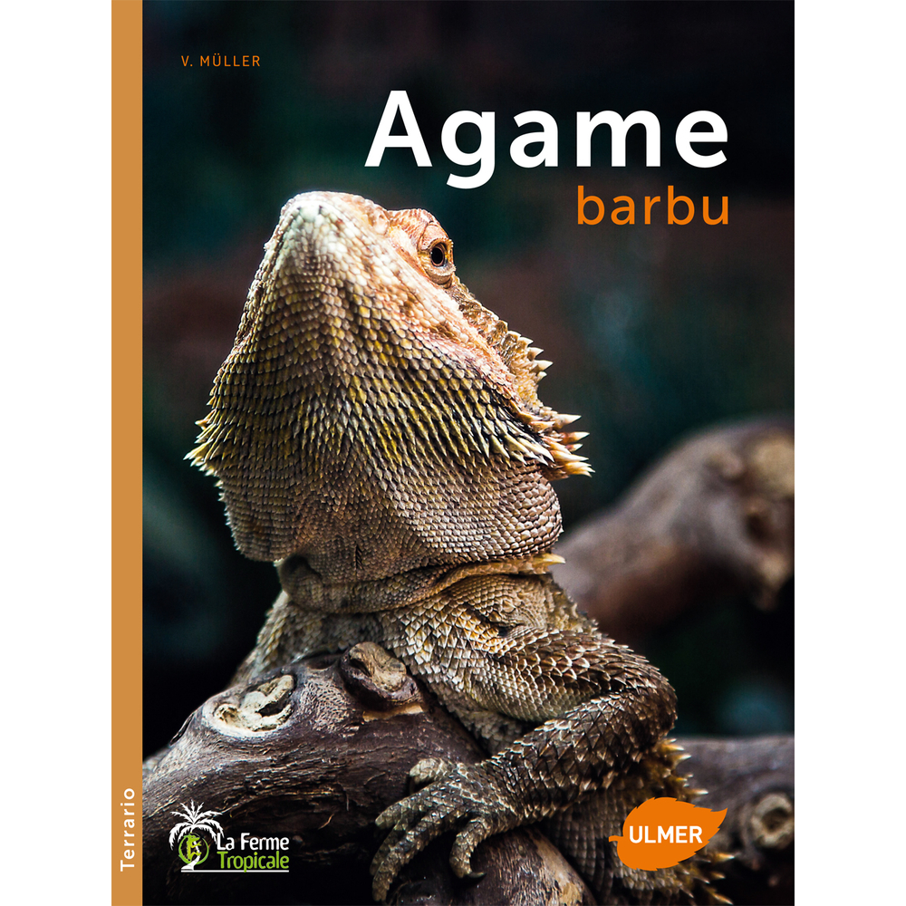 Livre animalerie: Agame barbu