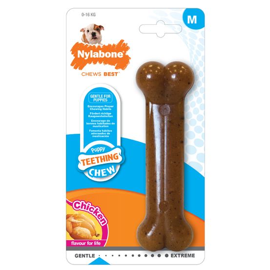 Nylabone puppy bone