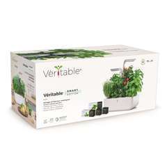 Véritable Lingot® Basilic Grand Vert Bio - Compatible Potager d'Intérieur  et Exky® - Recharge prête à l'emploi - Substrat avec Graines Intégrées :  : Jardin