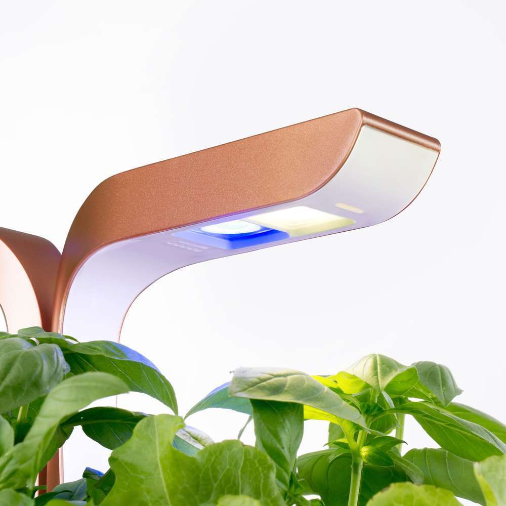 Potager d'intérieur 'Smart' - Copper