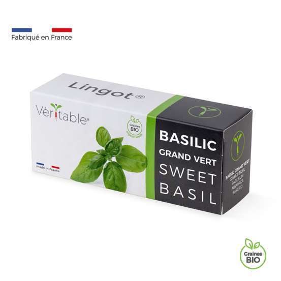 Recharge lingot® de basilic grand vert bio - pour potager Véritable®
