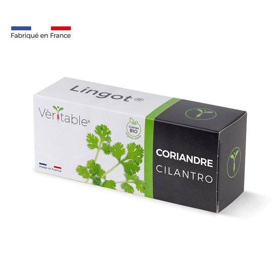 Recharge lingot® de coriandre - pour potager Véritable®