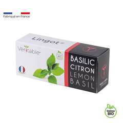 Recharges Lingot Basilic Citron BIO